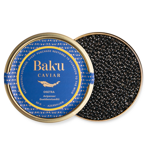 Osetra Acipenser Gueldenstaedtii Caviar